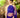 JHEEL SAREE