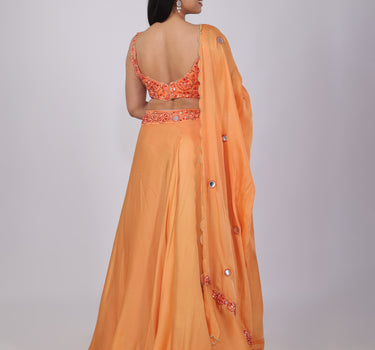 Apricot Resham & Abla Embroidered Lehenga Set